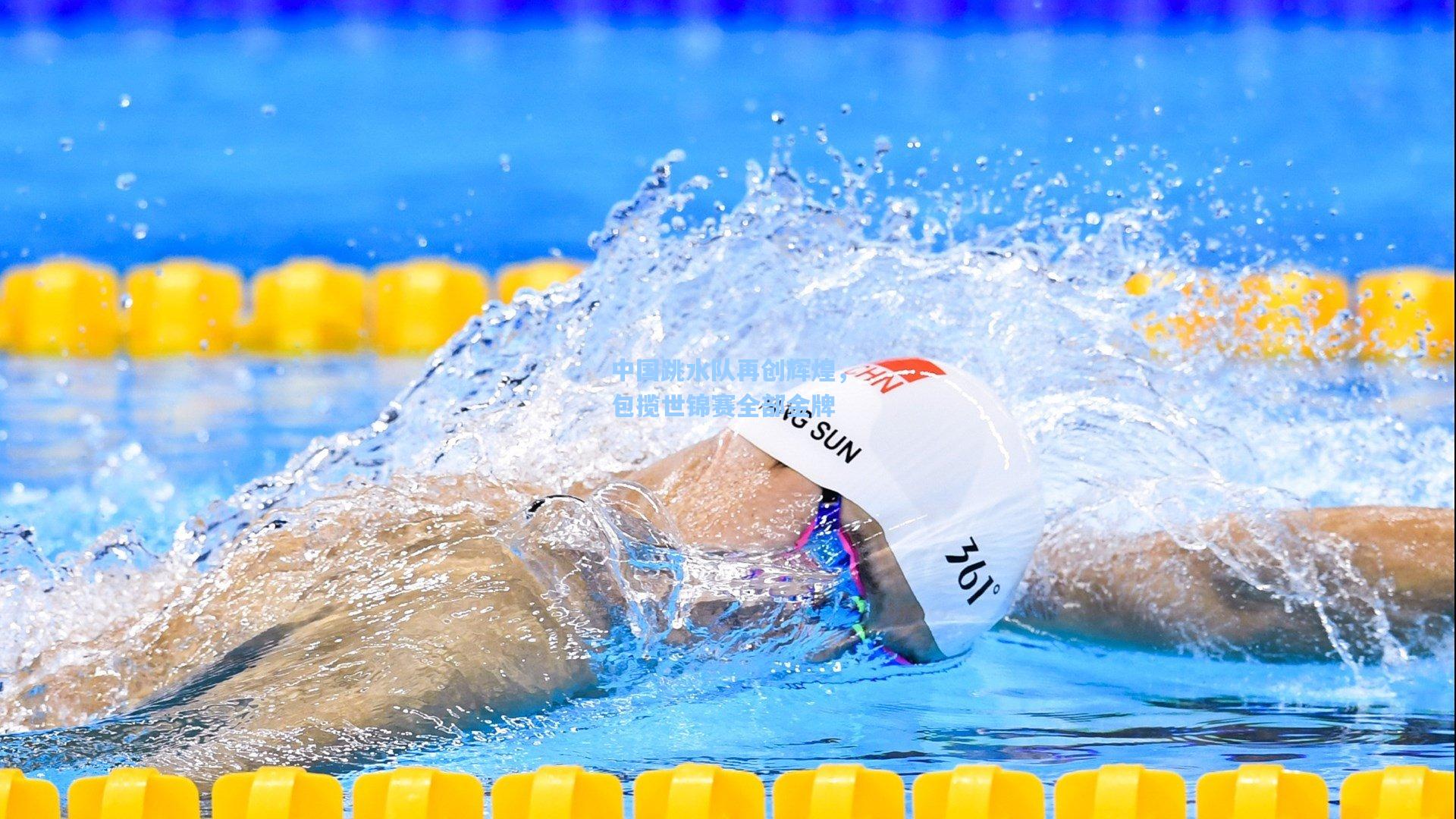 中国跳水队再创辉煌，包揽世锦赛全部金牌